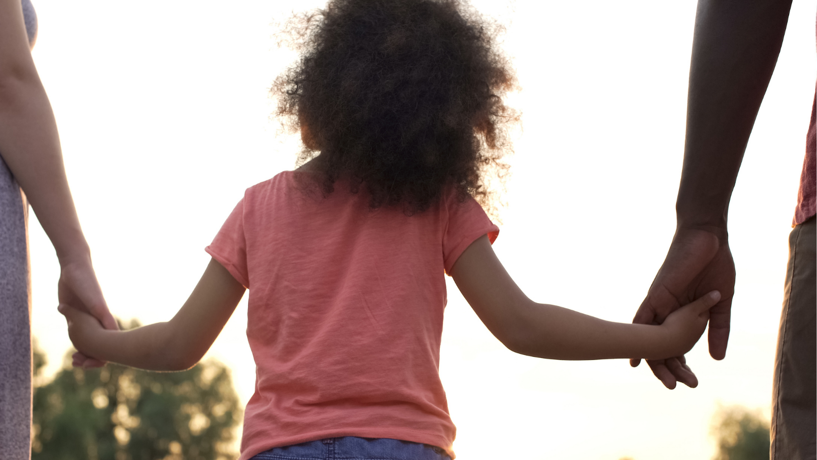 Understanding-Adoption