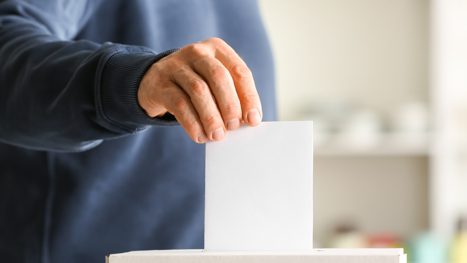 Employment Law General Election