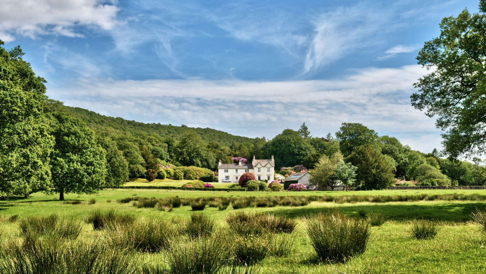 Buying a Property in a Conservation Area