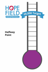 Hopefield Animal Sanctuary