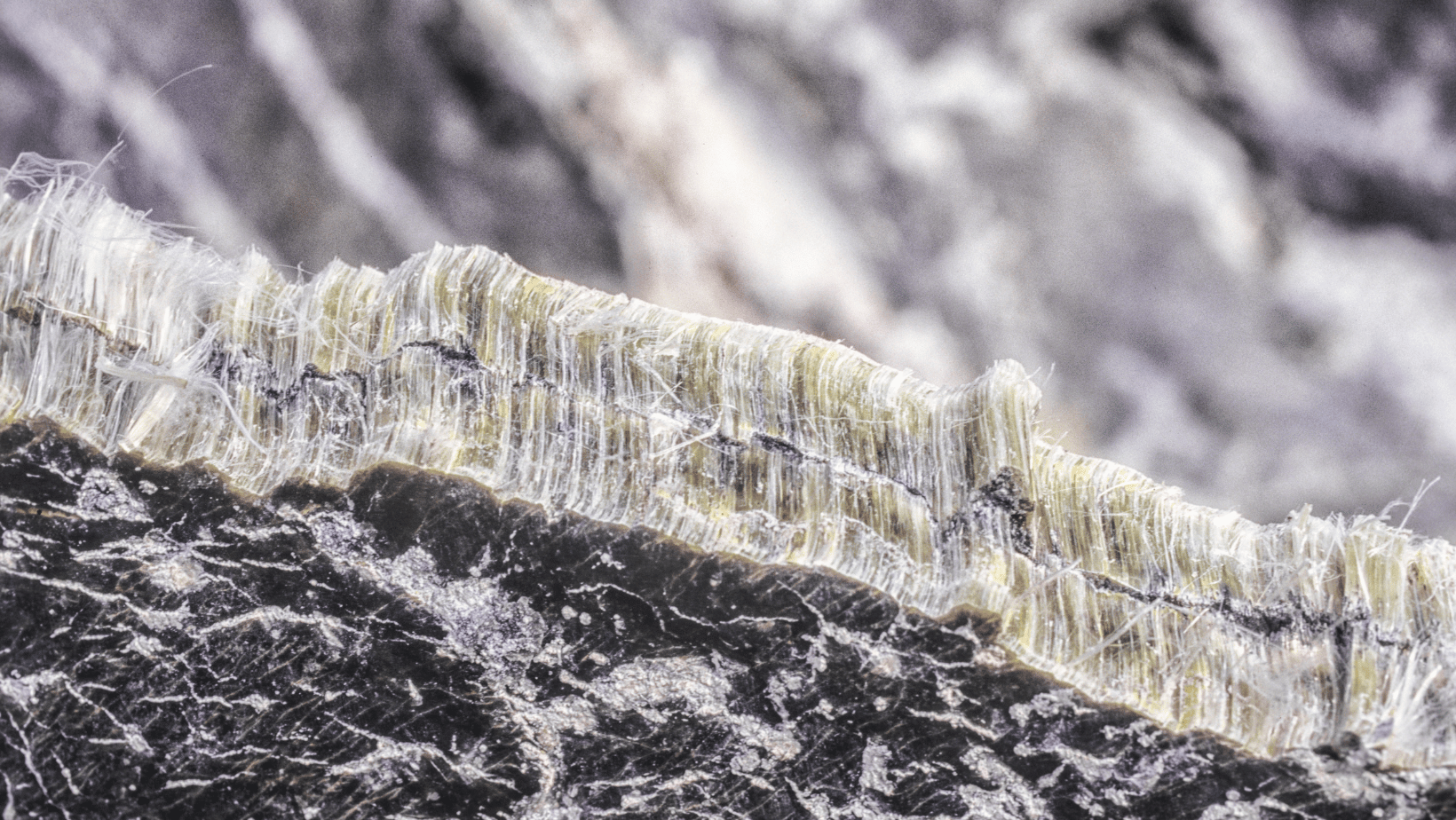 Asbestos Awareness Week